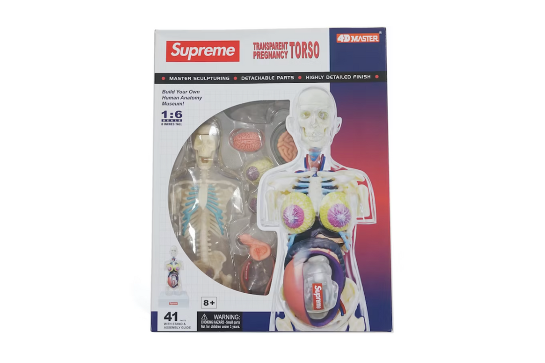 SUPREME FEMALE ANATOMY MODEL