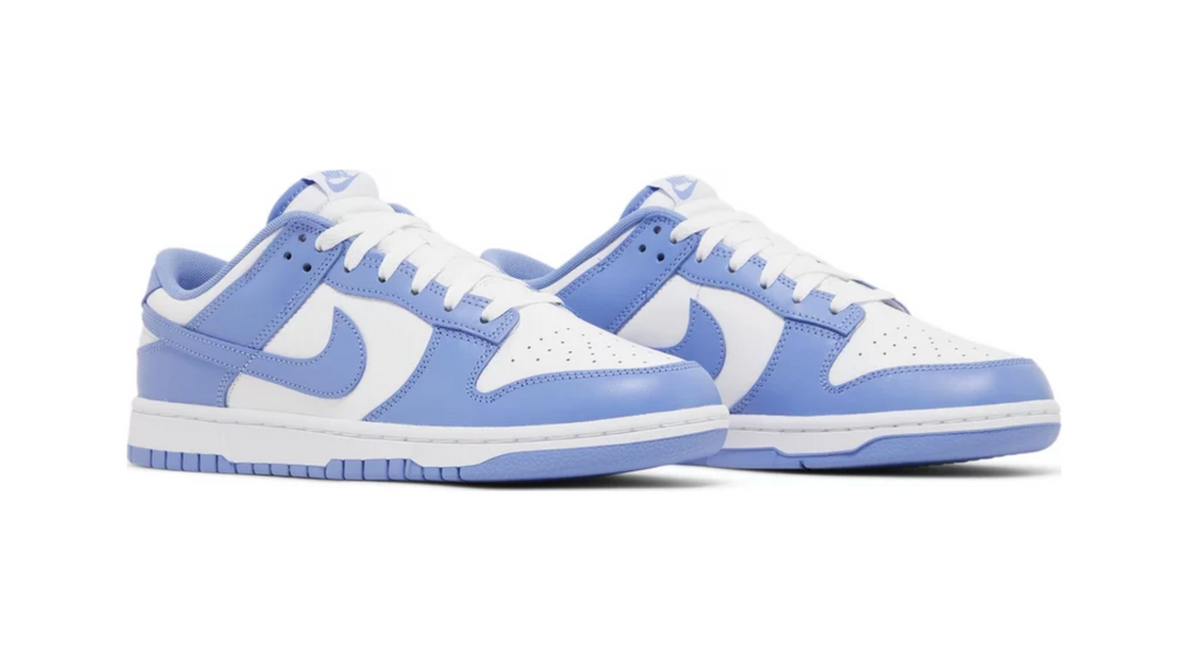 NIKE DUNK LOW POLAR